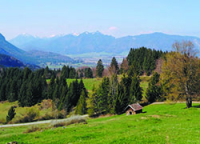 6 Tage Fasten & (Berg)wandern